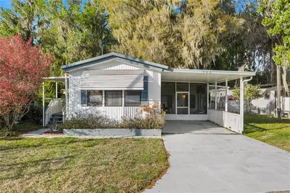 LAKE PANASOFFKEE FL Home