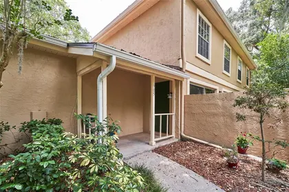 TEMPLE TERRACE FL Home