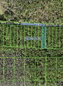 POLK CITY FL Property