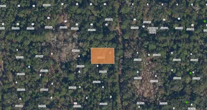 GEORGETOWN FL Property