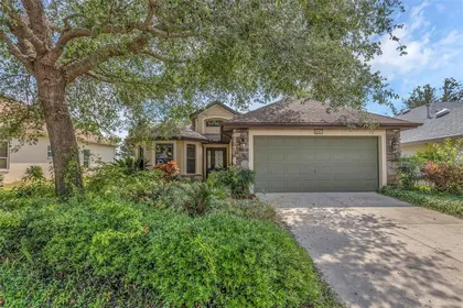 MOUNT DORA FL Home