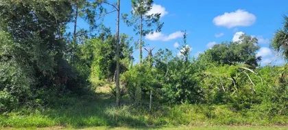 ENGLEWOOD FL Property