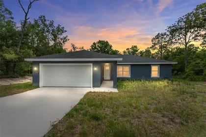 BELLEVIEW FL Home
