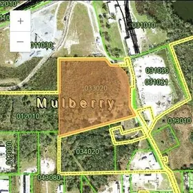 MULBERRY FL Property