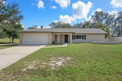 SPRING HILL FL Home