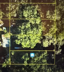 LAKE PANASOFFKEE FL Property