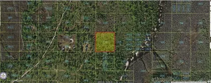 ST CLOUD FL Property