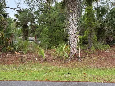 PALM COAST FL Property