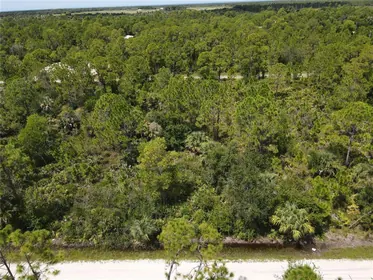 PUNTA GORDA FL Property