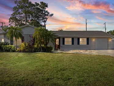 TAMPA FL Home
