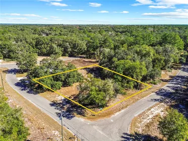 OCKLAWAHA FL Property