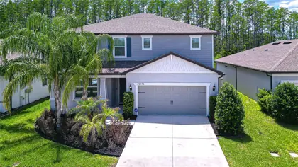 LAND O LAKES FL Home