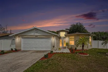 TAMPA FL Home