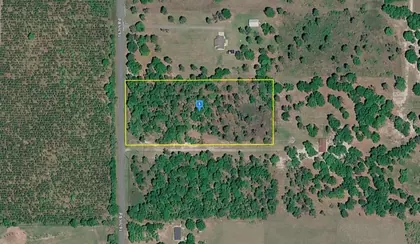 LIVE OAK FL Property