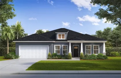 CITRUS SPRINGS FL Home
