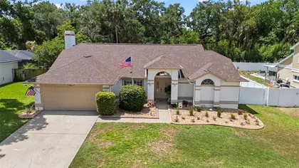 PLANT CITY FL Home