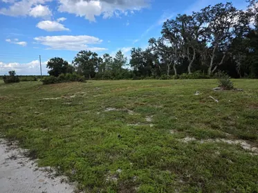 AVON PARK FL Property