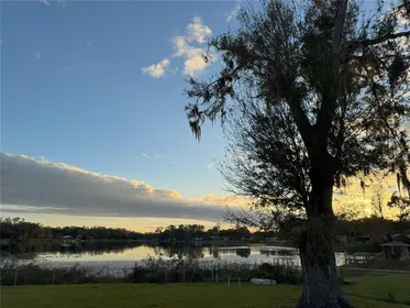 LAND O LAKES FL Home