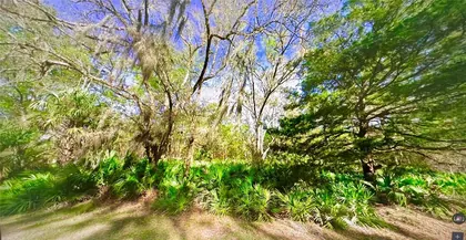 CRYSTAL RIVER FL Property