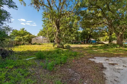 PLANT CITY FL Property