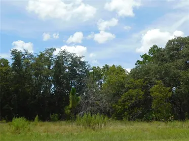 DUNNELLON FL Property