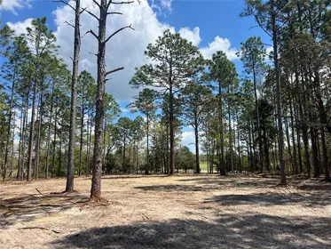 DUNNELLON FL Property