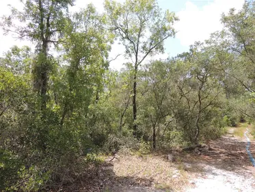CEDAR KEY FL Property