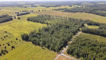 DADE CITY FL Property