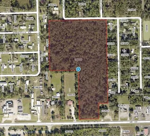 ASTOR FL Property