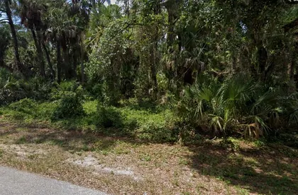 PORT CHARLOTTE FL Property