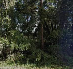 FORT MC COY FL Property
