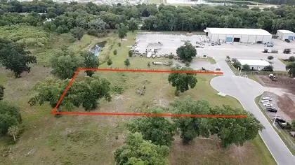 UMATILLA FL Property