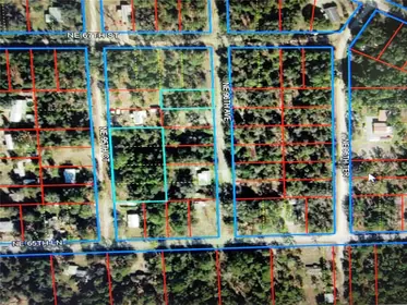 BRONSON FL Property