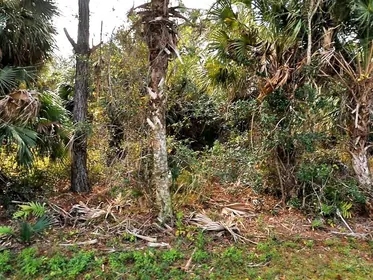 NORTH PORT FL Property
