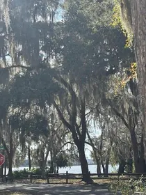 SALT SPRINGS FL Property