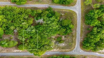 OCKLAWAHA FL Property