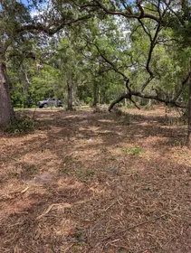 FORT MC COY FL Property