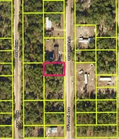 INTERLACHEN FL Property