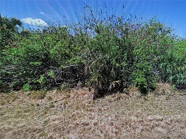 PORT CHARLOTTE FL Property