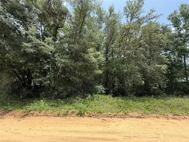 INTERLACHEN FL Property