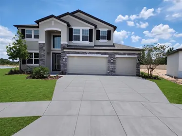 WESLEY CHAPEL FL Home