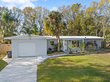 OLDSMAR FL Home