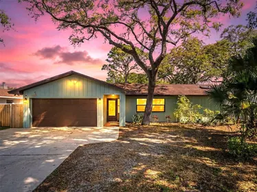 PALM HARBOR FL Home
