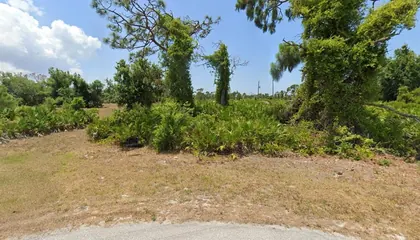 PLACIDA FL Property