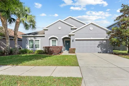 LITHIA FL Home