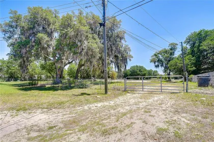 PLANT CITY FL Property