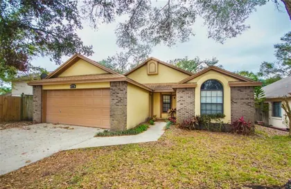 APOPKA FL Home