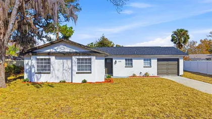 BRANDON FL Home