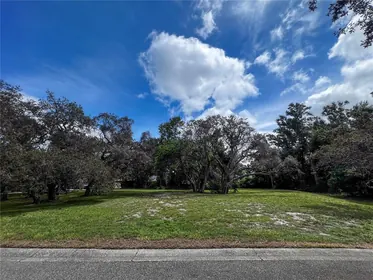 PALM HARBOR FL Property