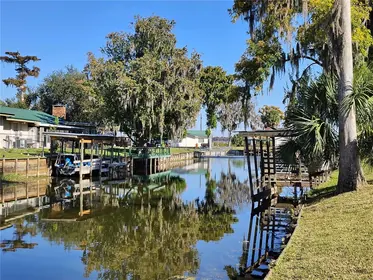 LAKE PANASOFFKEE FL Home